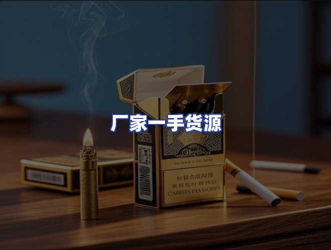 专业团队